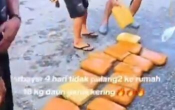 Dua Gembong Narkoba Asal Pekanbaru Diciduk Polsek Benai, 18 Kg Ganja Disita dari Avanza Hitam