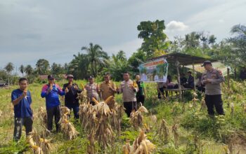 Polres Inhu Gandeng Desa, Wujudkan Ketahanan Pangan Berbasis Jagung Pipil
