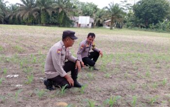 Begini Jurus Personel Polsek Kelayang Wujudkan Ketahanan Pangan Nasional