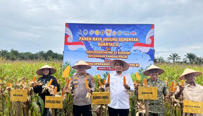 Panen Jagung Bersama Presiden, Kapolres dan Bupati Inhu Dorong Ketahanan Pangan
