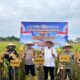 Panen Jagung Bersama Presiden, Kapolres dan Bupati Inhu Dorong Ketahanan Pangan