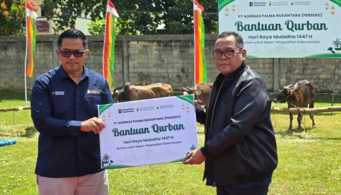 Penyerahan Hewan Kurban PT APN Jadi Simbol Kepedulian dan Komitmen Sawit Berkelanjutan