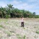 Kapolsek Kerumutan Pastikan Lahan Jagung program Ketahanan Pangan Siap Panen September