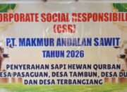 Menyambut Hari Raya Idul Adha 1447 H – 2026 M PMKS Makmur Andalan Sawit Salurkan Hewan Kurban ke 4 Desa