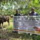 Sambut Hari Raya Idul Adha, PT Musim Mas Salurkan Hewan Qurban di Desa Sekitar Perusahaan