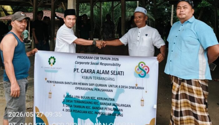 Melalui Program CSR, PT CAS Kebun Terbangiang Salurkan Hewan Qurban Sapi di 4 Desa