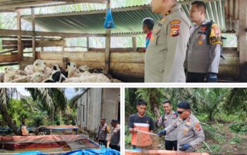 Polsek Rengat Barat Sambangi Warga Produktif di Talang Jerinjing, Apresiasi Budidaya Ikan dan Peternakan Domba Dukung Ketahanan Pangan