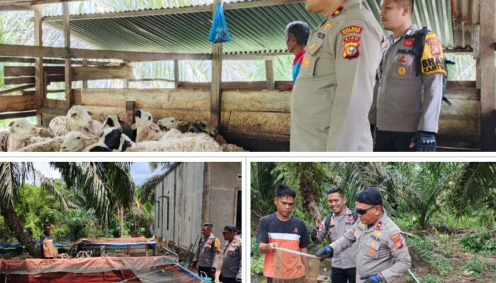 Polsek Rengat Barat Sambangi Warga Produktif di Talang Jerinjing, Apresiasi Budidaya Ikan dan Peternakan Domba Dukung Ketahanan Pangan