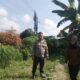 Dukung Ketapang Polresta Pekanbaru, Melalui Polsek Limapuluh Cek Tanaman Warga 