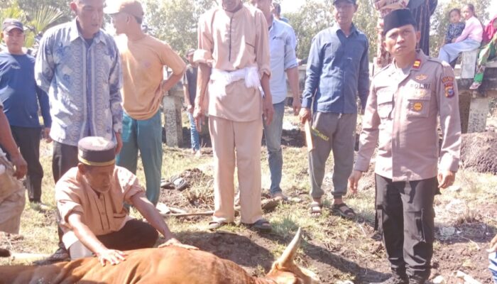 Kapolda Riau dan Kapolres Rohil Salurkan Hewan Qurban untuk Masyarakat Panipahan dan Rantau Kopar
