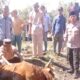 Kapolda Riau dan Kapolres Rohil Salurkan Hewan Qurban untuk Masyarakat Panipahan dan Rantau Kopar