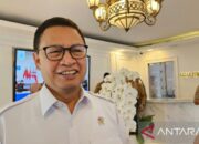 BPOM Temukan 22 Obat Bahan Alam Mengandung Bahan Kimia Obat, 13 di Antaranya Produk Stamina Pria