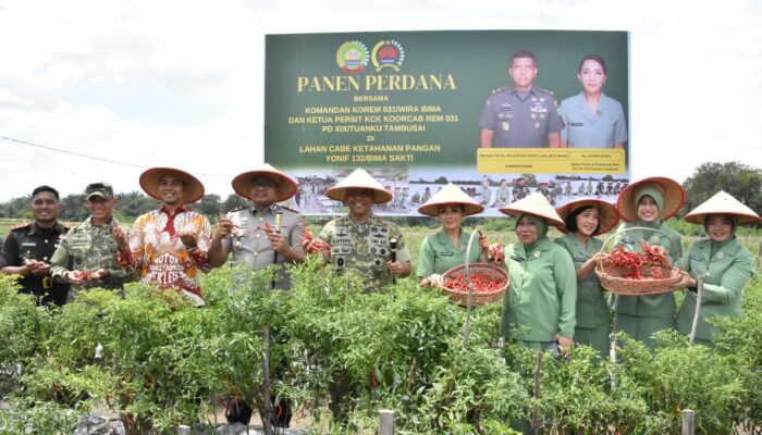 Danrem 031/WB Laksanakan Panen Raya Cabai di Kebun Yonif 132/BS sebagai Wujud Nyata Dukungan TNI terhadap Program Ketahanan Pangan Nasional