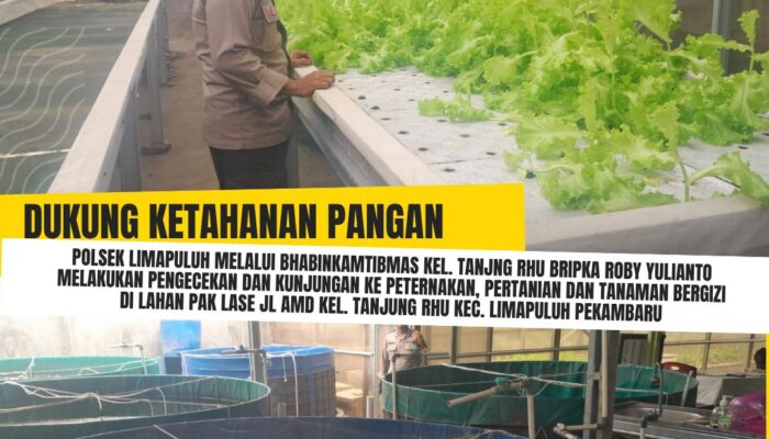 Polresta Pekanbaru Perkuat Ketahanan Pangan Melalui Monitoring Tanaman Bergizi dan Budidaya Ikan Warga