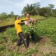 Bhabinkamtibmas Polsek Kelayang Sambangi Lahan Pertanian, Dorong Ketahanan Pangan dari Desa Teluk Sejuah