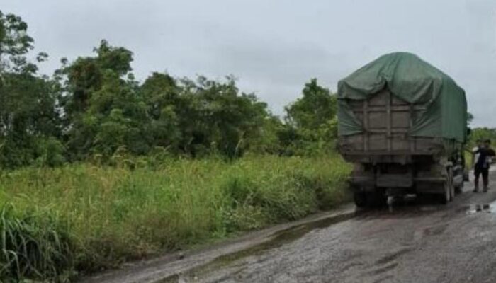 Warga Keluhkan Jalan Rusak, AMPAK Riau Dorong Penegakan Hukum terhadap PT EPE