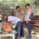 Polsek Lirik Kawal Ketahanan Pangan, Bhabinkamtibmas Cek Peternakan Ayam Kampung Binaan di Desa Rejosari