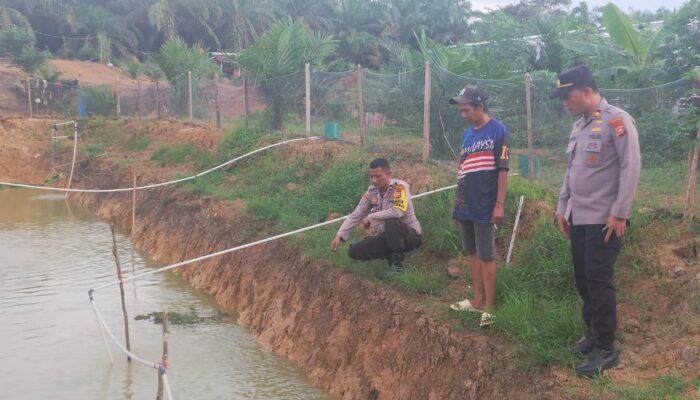 Kapolsek Batang Cenaku Dorong Swasembada Pangan Lewat Budidaya Ikan Nila
