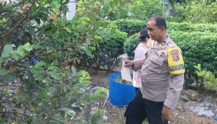 Hadir Dukung Ketapang, Polresta Pekanbaru Melalui Bhabinkamtibmas Bukit Raya Edukasi Warga Kelola Pekarangan 
