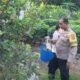 Hadir untuk Ketapang, Polresta Pekanbaru Melalui Bhabinkamtibmas Bukit Raya Edukasi Warga Kelola Pekarangan 