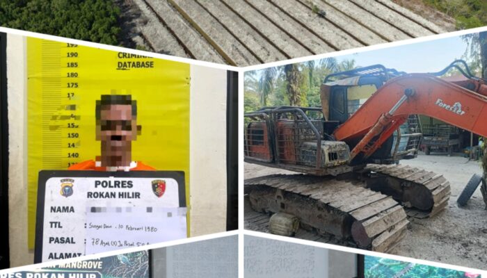 Rambah Hutan Mangrove 3 Hektar, Polres Rohil Tangkap Pelaku dan Sita Excavator