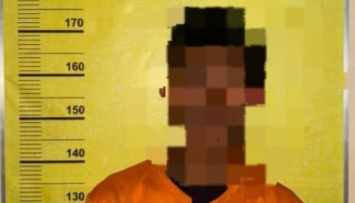 Polsek Bangko Pusako & Tim Buser Polres Rohil Ringkus Pelaku Curas, Diamankan di Kebun Sawit