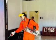 161.752 Kasus DBD 2025, 673 Meninggal! Kemenkes: Kenali Demam, Selamatkan Nyawa