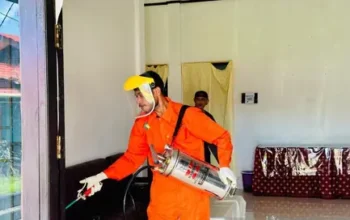 161.752 Kasus DBD 2025, 673 Meninggal! Kemenkes: Kenali Demam, Selamatkan Nyawa