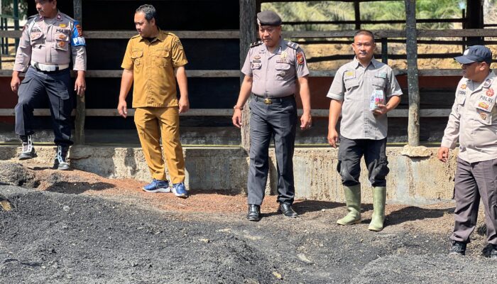 Polsek Lirik Dukung Ketahanan Pangan Melalui Penanaman Jagung Pipil Kuartal II di Desa Sungai Sagu