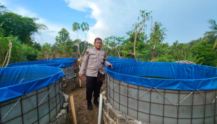 Kapolsek Lirik Cek Peternakan Ikan Binaan di Desa Sukajadi, 1000 Bibit Gurame dan Lele Dibudidayakan Kelompok Tani