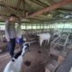 Kapolsek Lirik Cek Peternakan Kambing Binaan di Desa Sukajadi, 40 Ekor Kambing Dikelola BUMDes