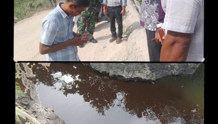 Diduga Limbah PT BDA Bocor, Sungai Longkib Tercemar: Ratusan Ikan Mati, Nelayan Terancam