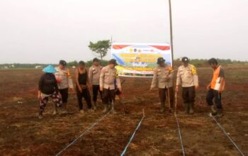Kapolsek Batang Tuaka IPDA Dahri Pimpin Penanaman Jagung Pipil Bersama Poktan Karya Baru