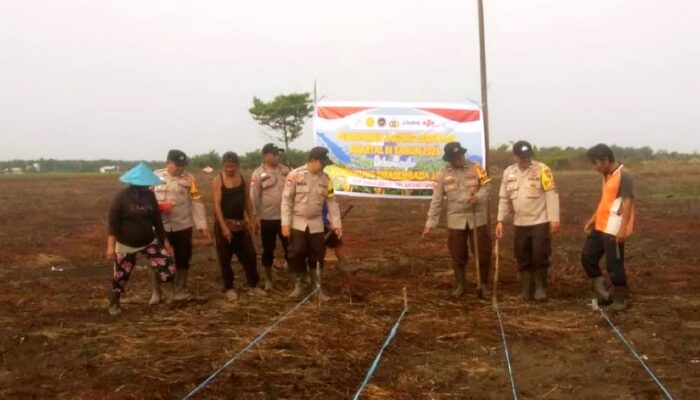 Kapolsek Batang Tuaka IPDA Dahri Pimpin Penanaman Jagung Pipil Bersama Poktan Karya Baru