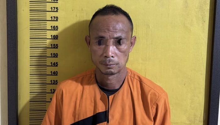 Malang, Tiga Anak di Bawah Umur Diduga Digagahi Bapak Tirinya, Pelaku Diringkus Polsek Peranap