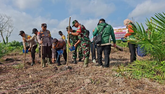 Dukung Swasembada Pangan, Polsek Batang Tuaka Bersinergi Tanam Jagung 2 Ha di Sungai Luar