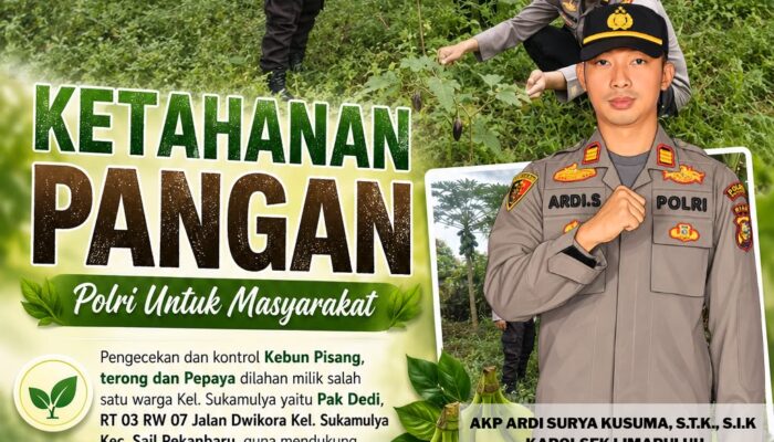 Dukung Ketahanan Pangan Nasional, Polsek Limapuluh Polresta Pekanbaru Monitoring Kebun Produktif Warga di Sukamulya