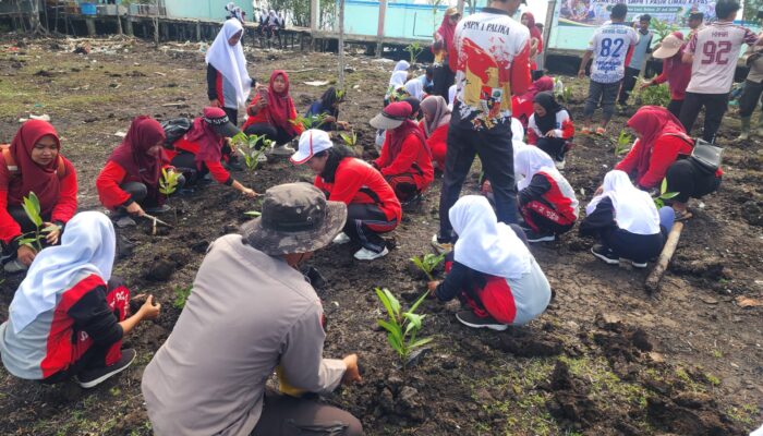 Polsek Panipahan Bersama KTH Wahana Mangrove dan Pelajar Tanam 150 Bibit Mangrove di Pesisir Pasir Limau Kapas