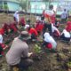 Polsek Panipahan Bersama KTH Wahana Mangrove dan Pelajar Tanam 150 Bibit Mangrove di Pesisir Pasir Limau Kapas