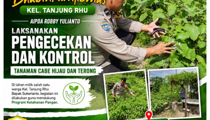 Polsek Limapuluh Perkuat Ketahanan Pangan, Monitoring Tanaman Cabai Hijau dan Terong Bersama Warga Tanjung Rhu