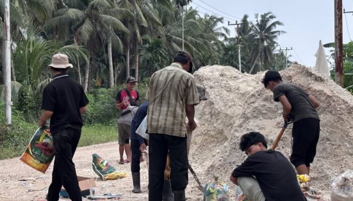 Tanpa Dana Pemda, Mahasiswa UIN Suska Gotong Royong Bangun Jalan Tanjung Pidada