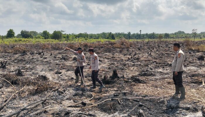 Hari Ke-2, Polsek Batang Tuaka Akhirnya Berhasil Padamkan Api di Parit Tasik, Inhil
