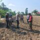 Polsek Limapuluh Tanam Jagung Pipil 1 Hektare di Pekanbaru, Dukung Ketahanan Pangan Nasional