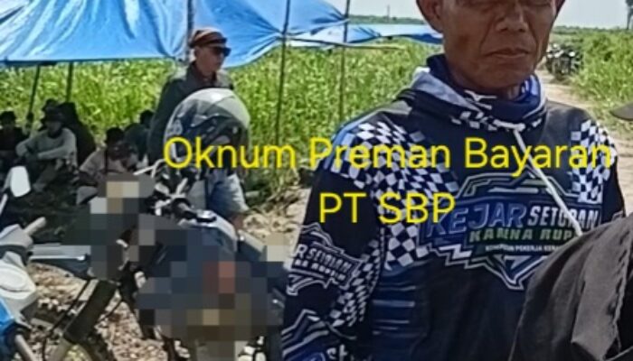 Situasi Mencekam! Polisi Gagalkan Bentrok Berdarah Petani dengan Massa Pengawal PT SBP
