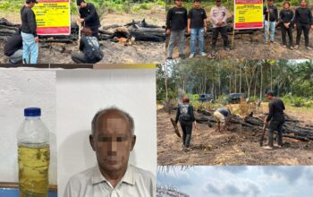 Gara-gara Usir Nyamuk, Seorang Pensiunan Bakar Lahan Dan Hanguskan Kebun Sawit di Inhu
