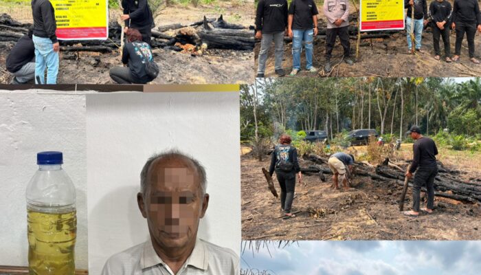 Gara-gara Usir Nyamuk, Seorang Pensiunan Bakar Lahan Dan Hanguskan Kebun Sawit di Inhu