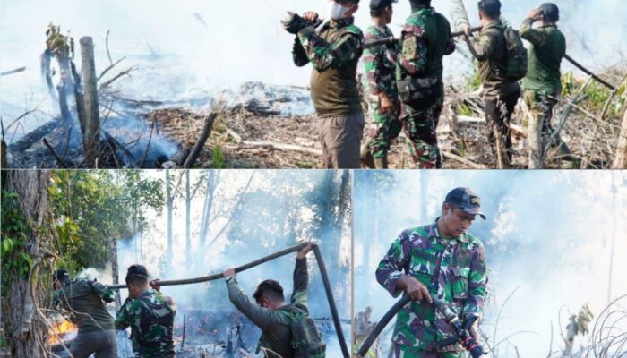 Dandim 0314/Inhil Letkol Wahib Mustofa Turun Langsung Padamkan Karhutla 10 Hektare di Simpang Gaung