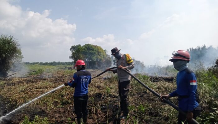 Kapolres Pelalawan TNI dan RPK PT Pimpin Padamkan Karhutla 10 Hektar di Kerumutan, Water Bombing Diterjunkan