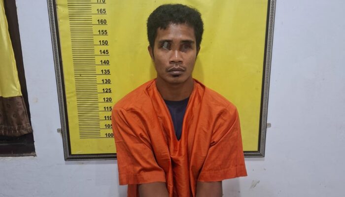 Dikejar Sekitar 100 Meter, Pengedar Sabu di Batang Cenaku Tak Bisa Mengelak   