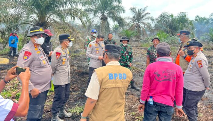 Wakapolda Riau dan Irdam XIX Turun Langsung Padamkan Karhutla di Pasir Limau Kapas Rohil